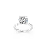 Load image into Gallery viewer, Color-Platinum
