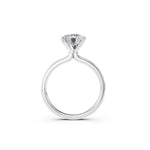 Load image into Gallery viewer, Color-Platinum
