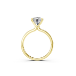 Load image into Gallery viewer, Color-Yellow Gold
