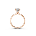 Load image into Gallery viewer, Color-Rose Gold
