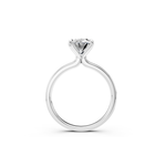 Load image into Gallery viewer, Color-White Gold
