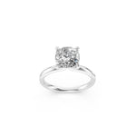 Load image into Gallery viewer, Color-Platinum
