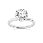 Load image into Gallery viewer, Color-Platinum
